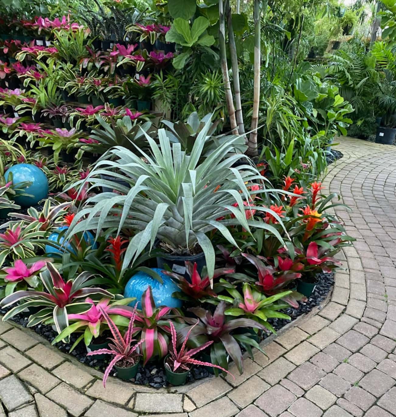 Williams Magical Garden Center & Landscape - Naples, FL, US, arts landscaping