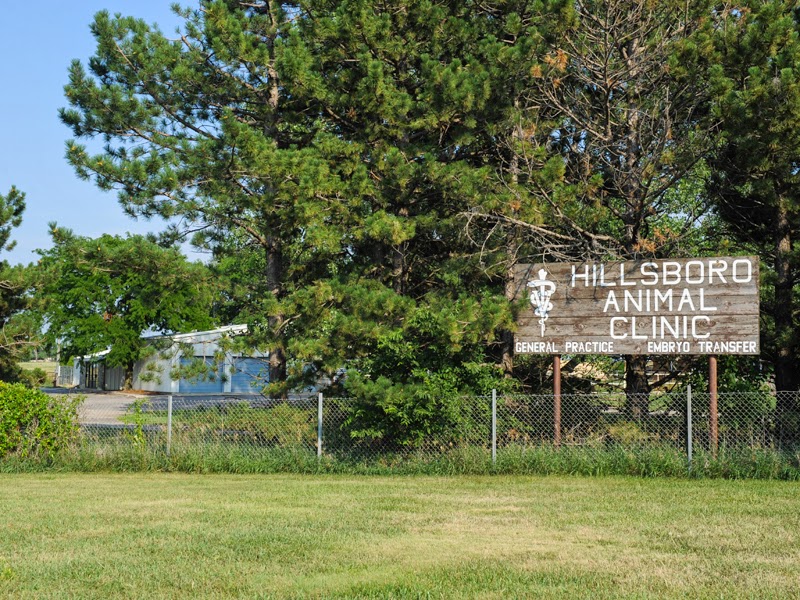Hillsboro Animal Clinic, LLC, US, animal hospital
