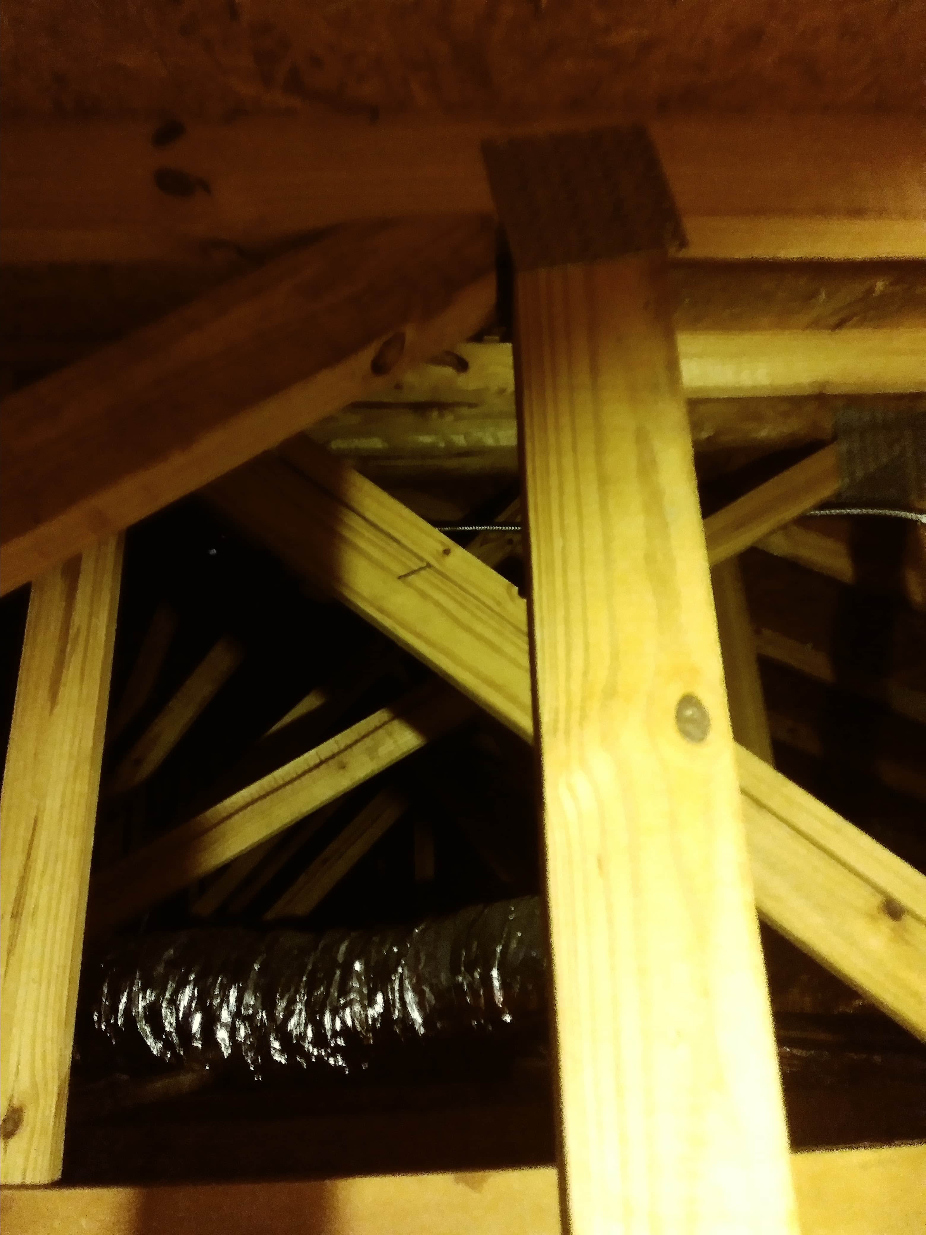 Carpenter Co - Lakeland (FL 33815), US, cost to refinish wood floors