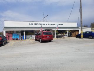 ab hatchery & garden center