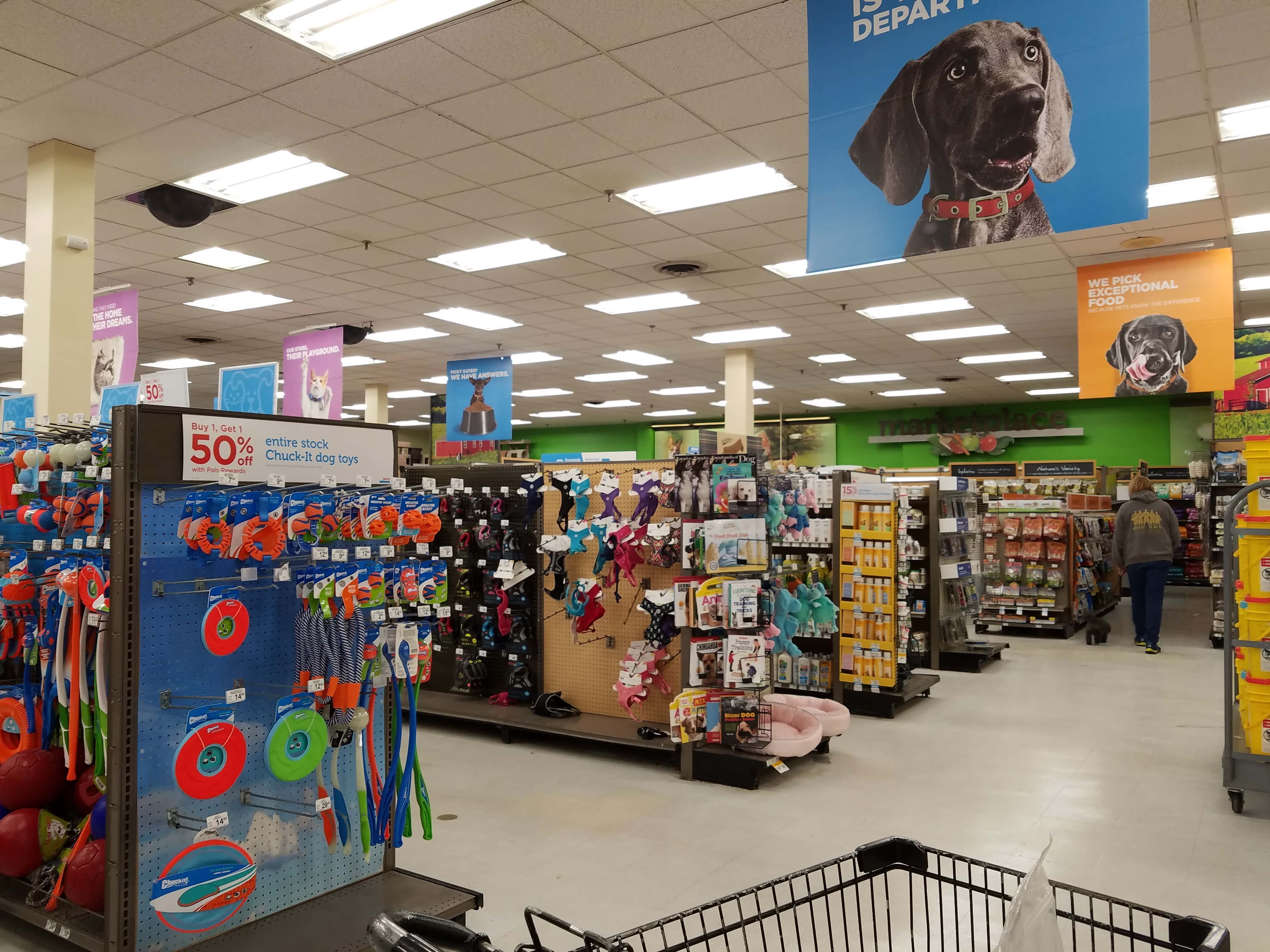 Petco Grooming - Garden City Park (NY 11040), US, mobile dog wash