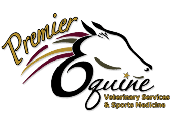 premier equine veterinary services