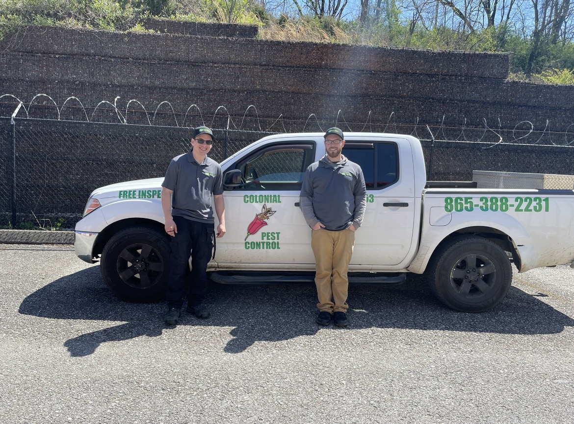 Colonial Pest Control - Knoxville, TN, US, pest control knoxville tn