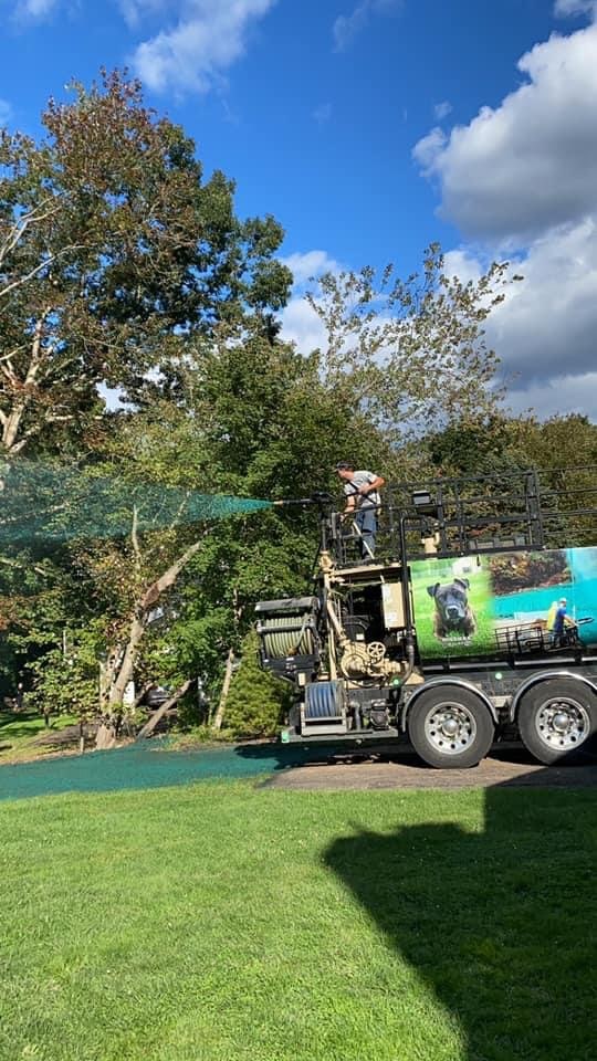 All Green Hydroseed - Terryville (CT 06786), US, commercial hydroseeding contractors