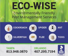 ecowise pest control