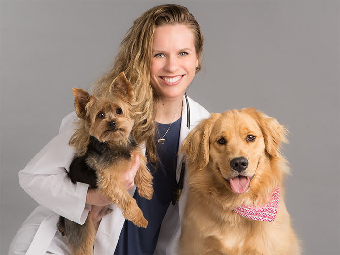 Homecare Veterinary Clinic - Rocky Hill, NJ, US, animal hospital