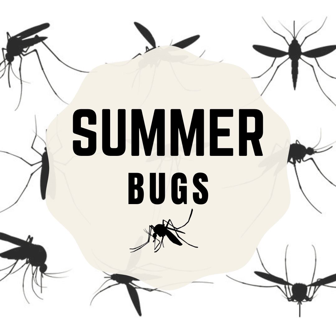 Mosquito Authority - Pueblo (CO 81007), US, ant control