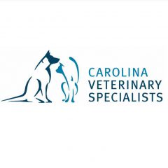 carolina veterinary specialists - huntersville (nc 28078)
