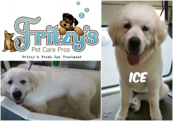 fritzy’s pet care pros - san diego (ca 92110)