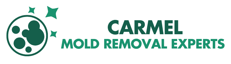 carmel's mold removal experts