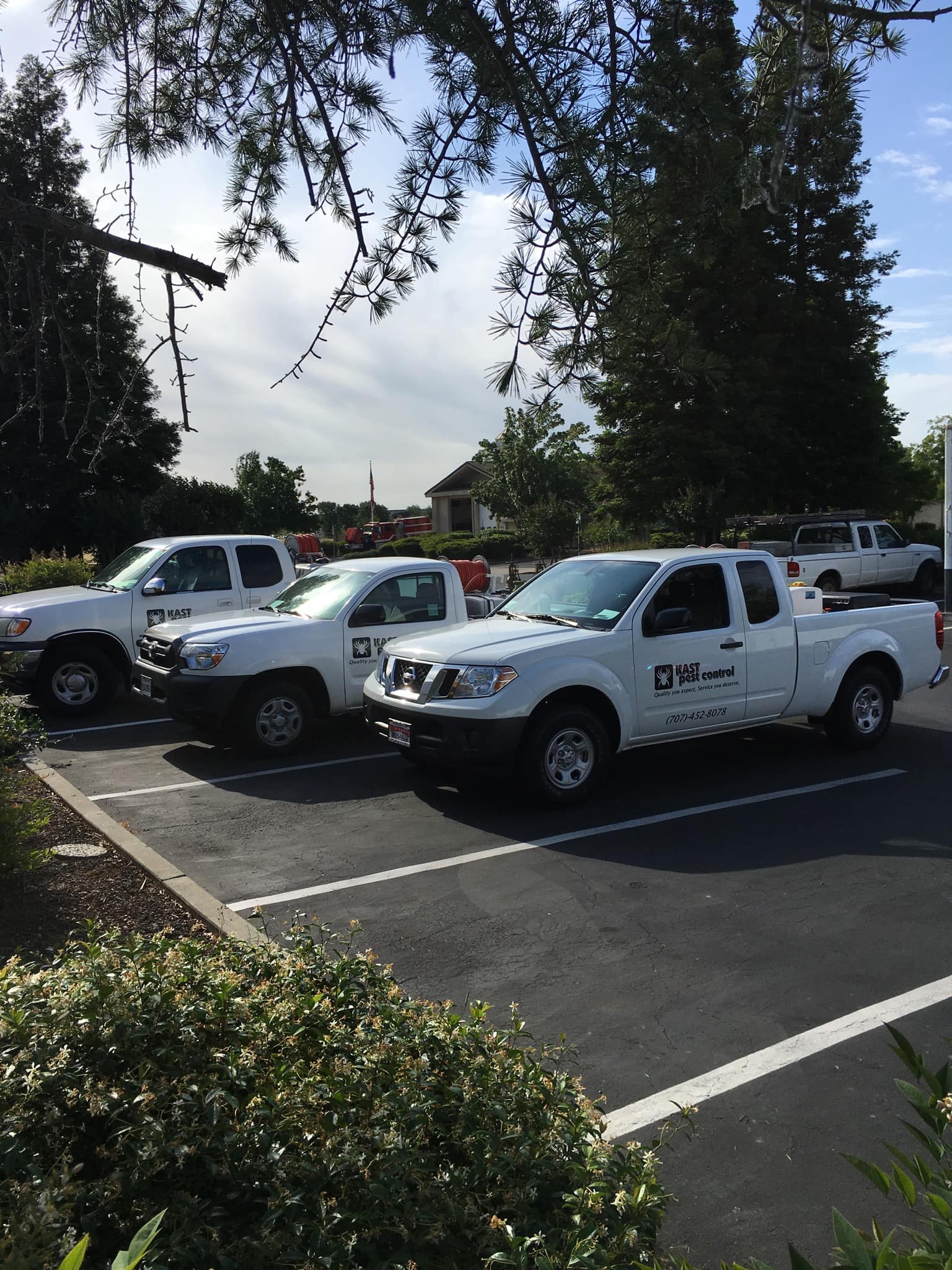 Kast Pest Control - Vacaville, CA, US, bed bug treatment