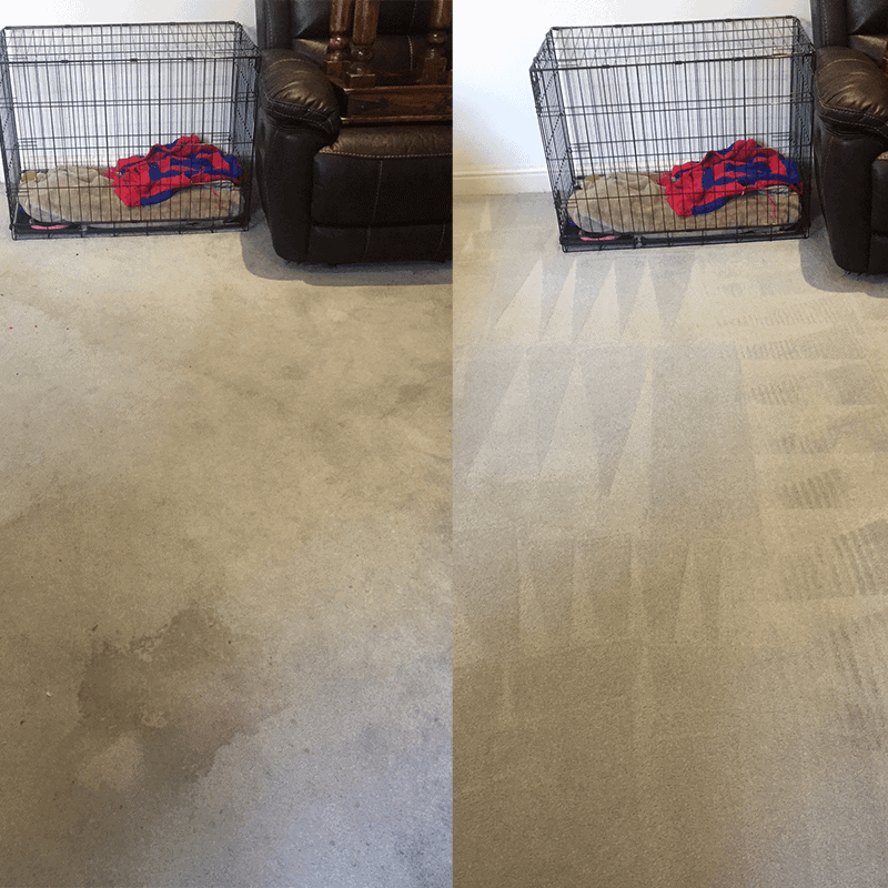 AAAClean - West Malling, UK, carpet clean