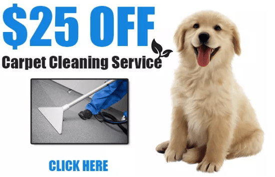 KLM Carpet Care Service - Sugar Land, TX, US, pet stain removal