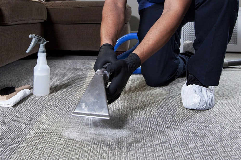 La Porte Carpet Cleaning Pros, US, carpet clean
