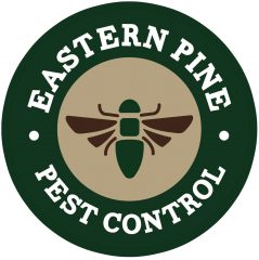 eastern pine pest & wildlife