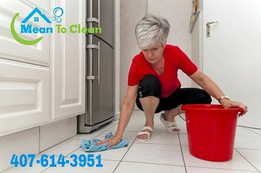Mean To Clean - Clermont, FL, US, maid service near me