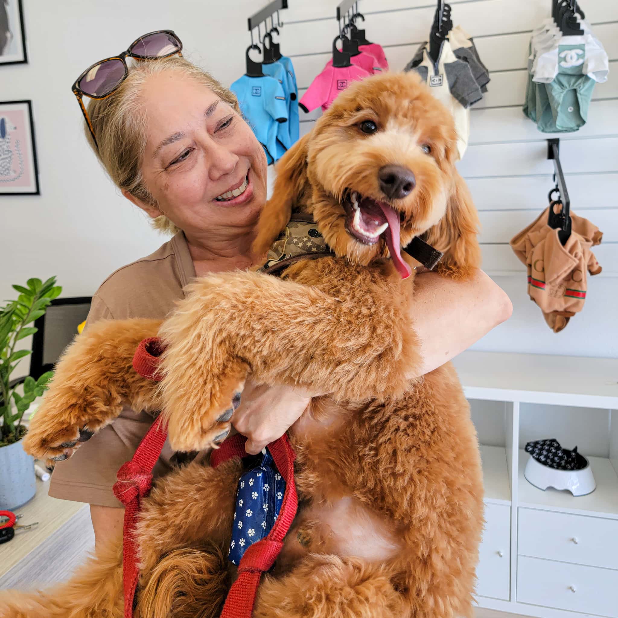 Oui Paws Pet Salon - Huntington Beach, CA, US, animal house grooming