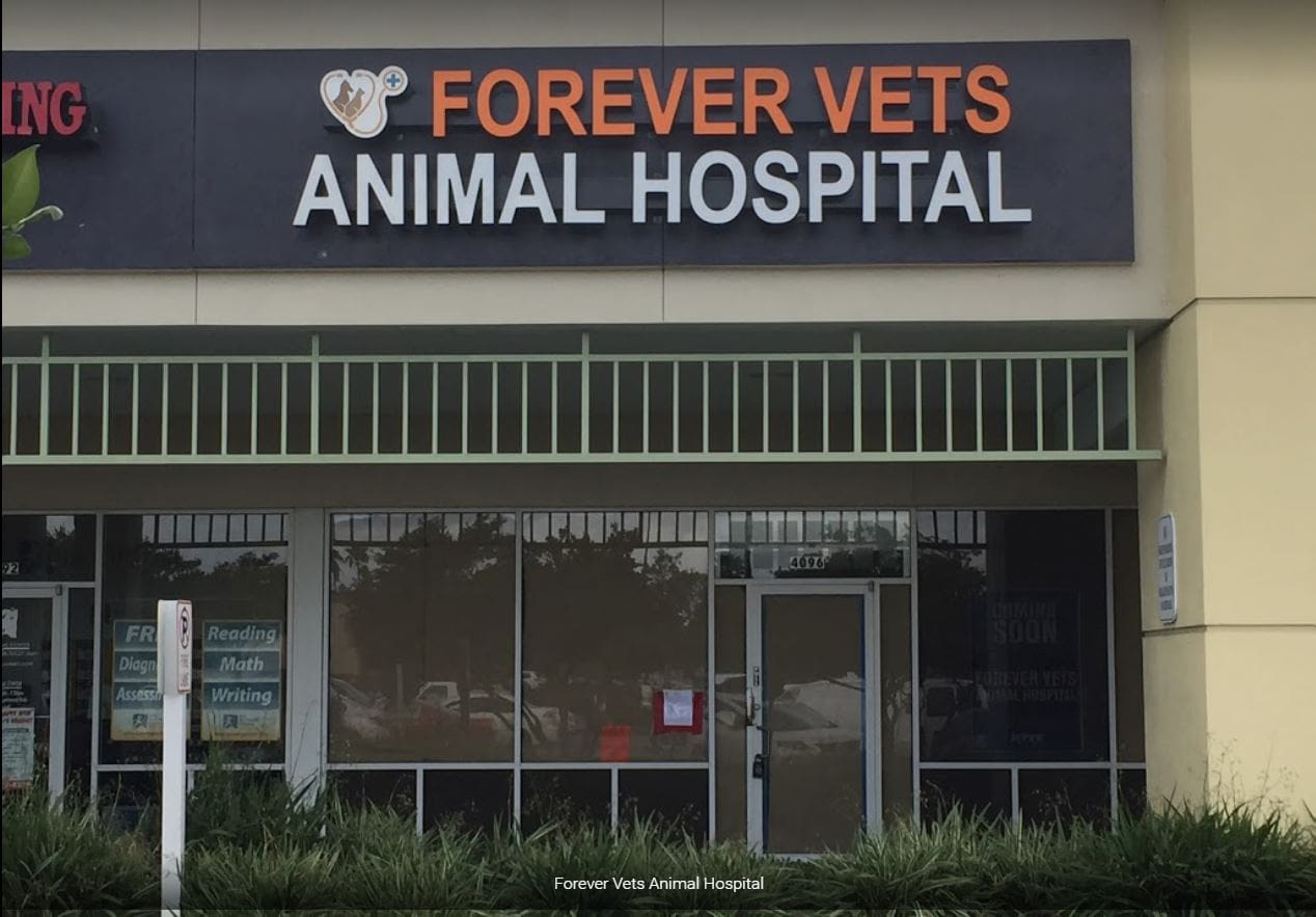 Forever Vets Animal Hospital at Hunters Creek - Orlando, FL, US, animal clinic near me