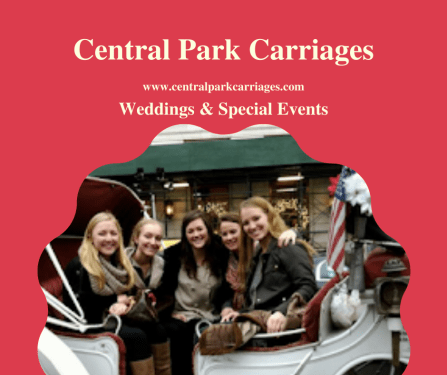 Central Park Carriages - New York, NY, US, horse and buggy