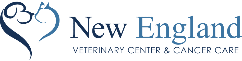 new england veterinary center & cancer center