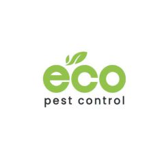 eco pest control gold coast