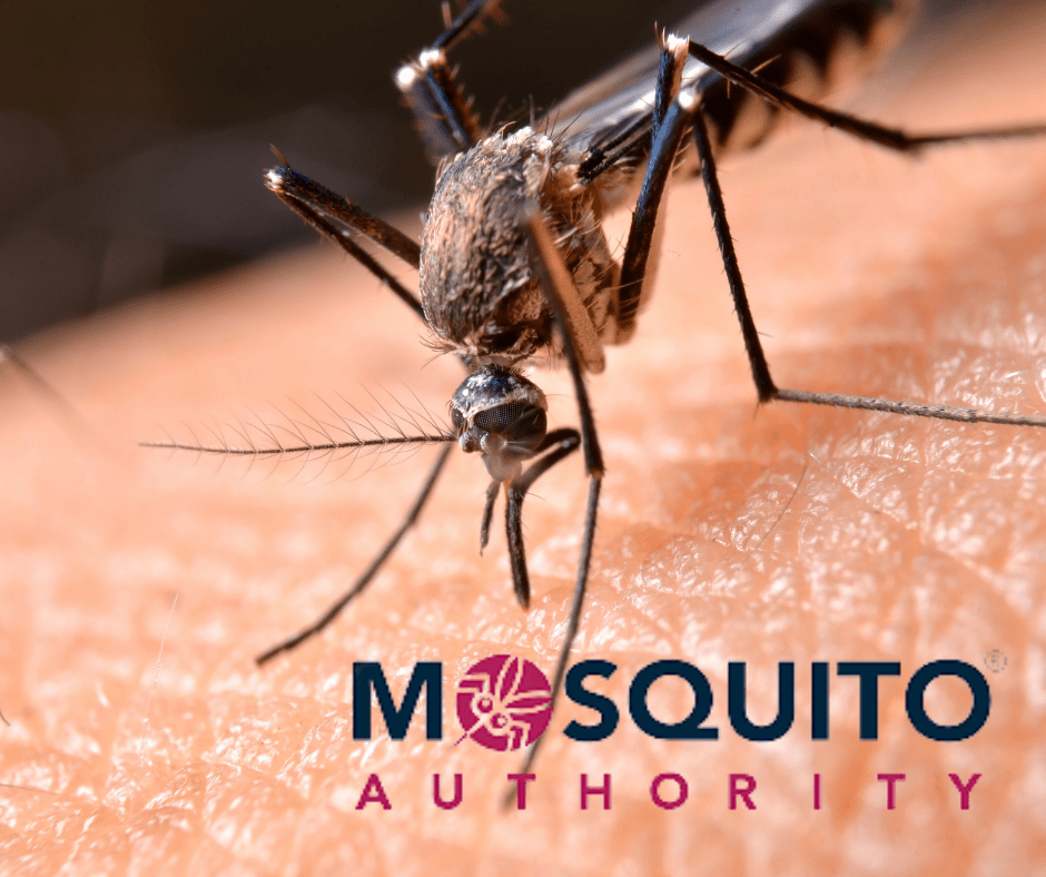 Mosquito Authority-Florence, SC, US, pest control near me