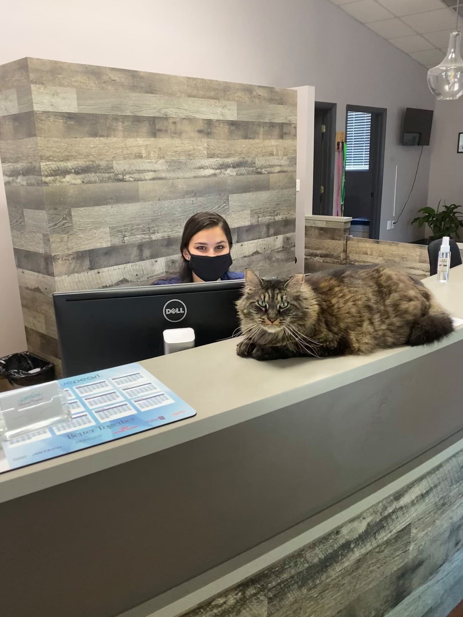 VCA Cypress Creek Animal Hospital - Lutz, FL, US, veterinary clinic