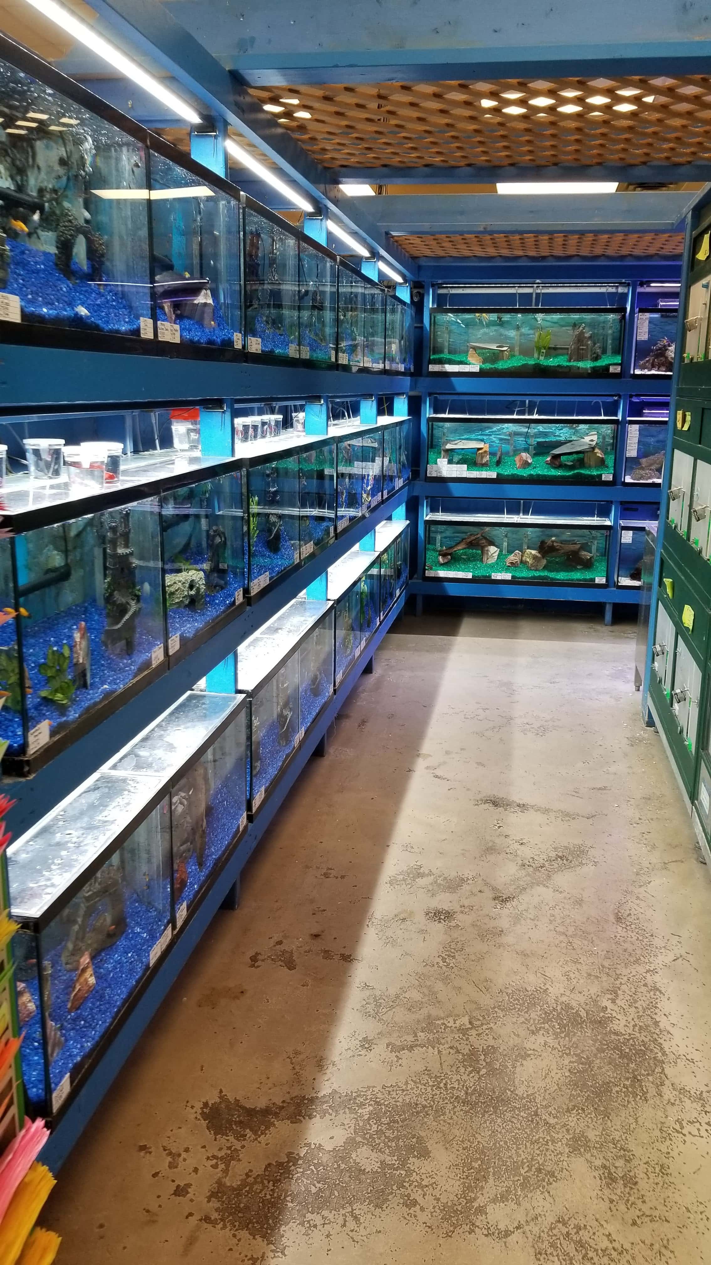 Atlas Pet Supply - Stillwater, US, reptile store near me