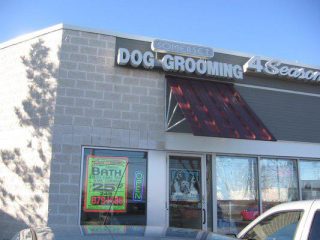 sommerset dog grooming