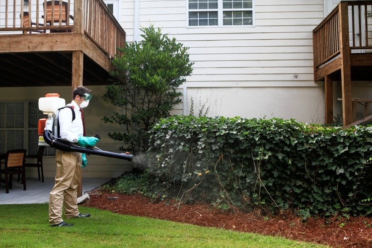A1 Pest Control & Bed Bugs - Temecula, CA, US, mosquito control