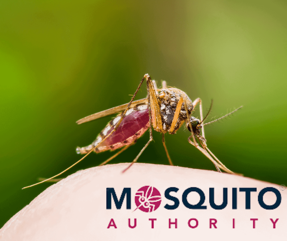 Mosquito Authority-Opelousas, LA, US, pest control near me