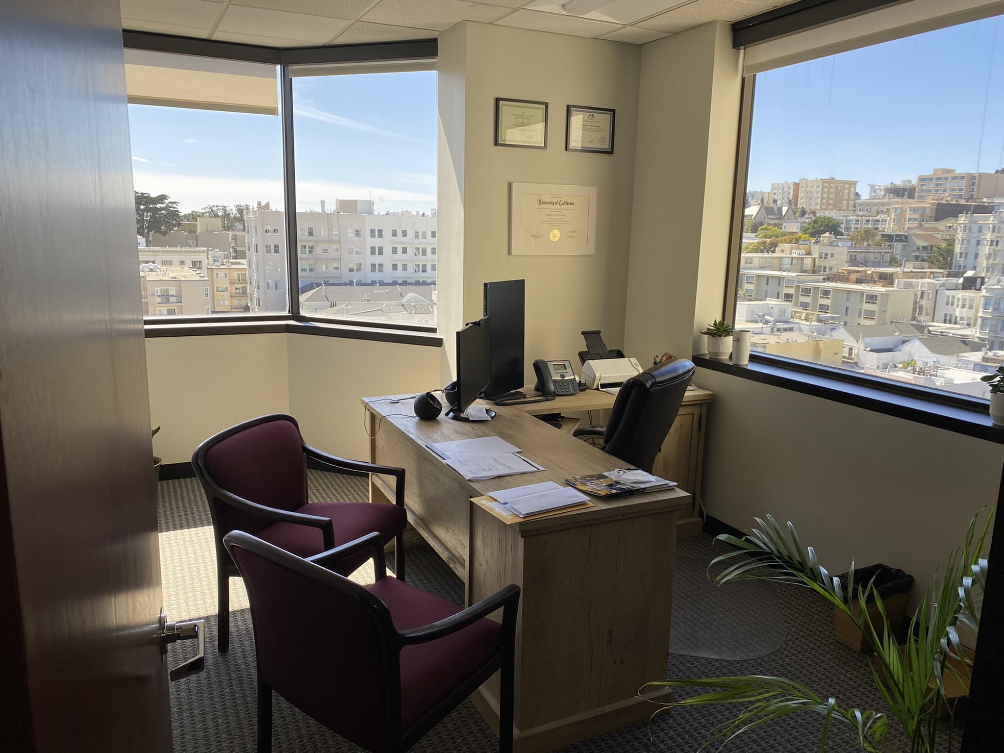 Halavanau Law Office, P.C. - San Francisco, CA, US, business attorney