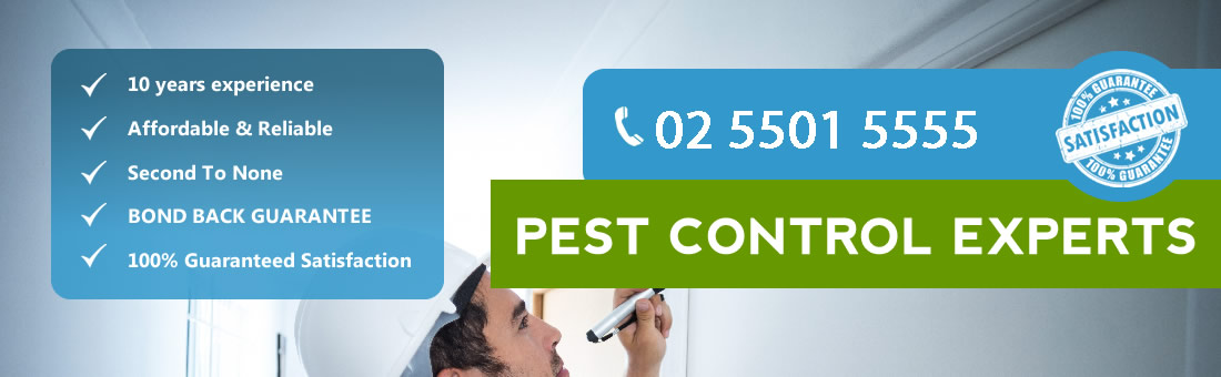 Pro Pest Control Canberra, AU, rodent control