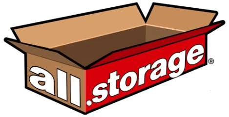 all storage in saginaw