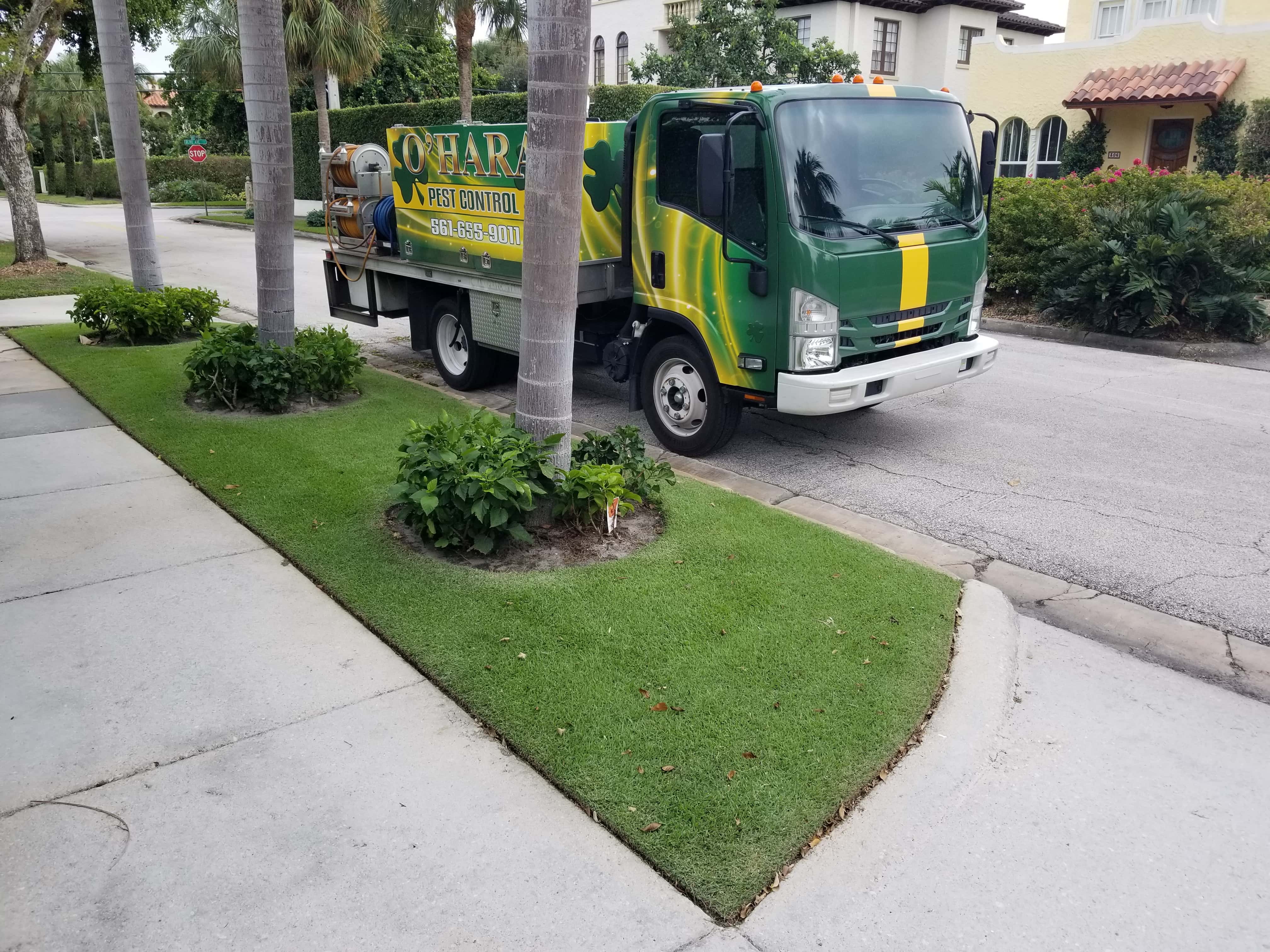 O'Hara Pest Control Inc. - West Palm Beach, FL, US, pest defender