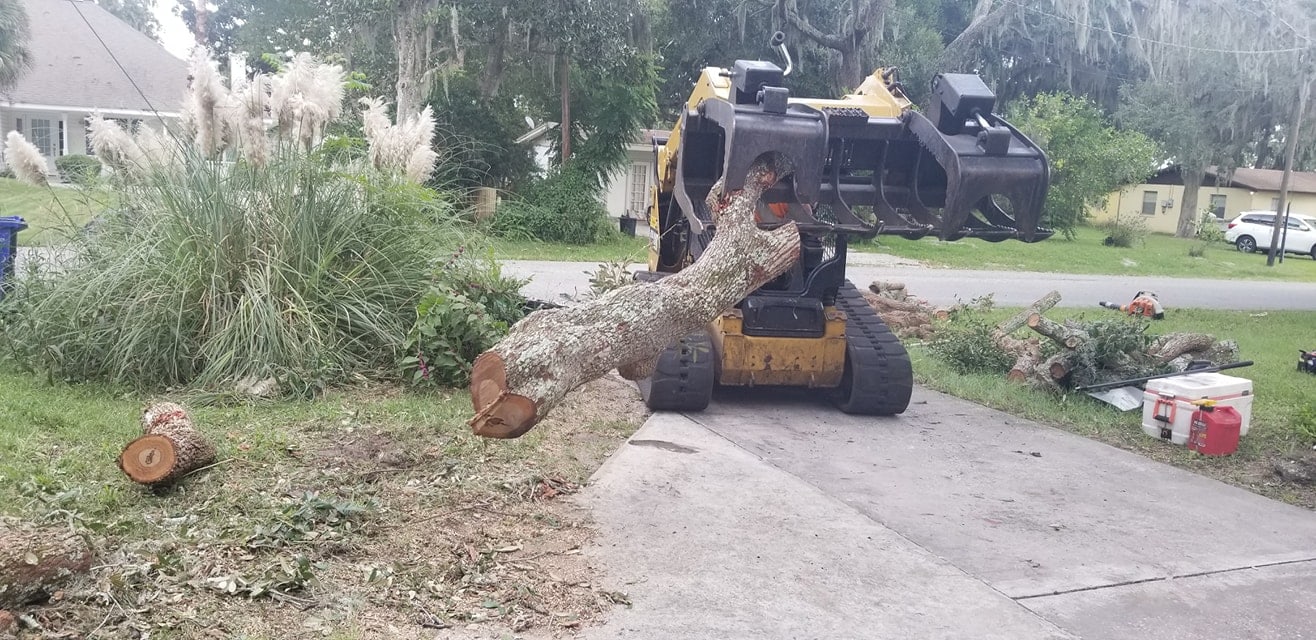 Tree Squad - St. Augustine, FL, US, tree service