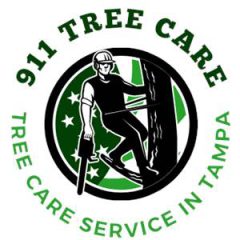jdm tree service