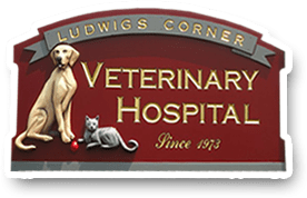 ludwigs corner veterinary hospital