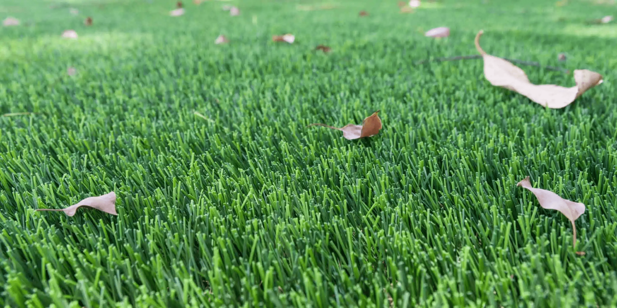 TurFresh - San Clemente (CA 92673), US, artificial grass