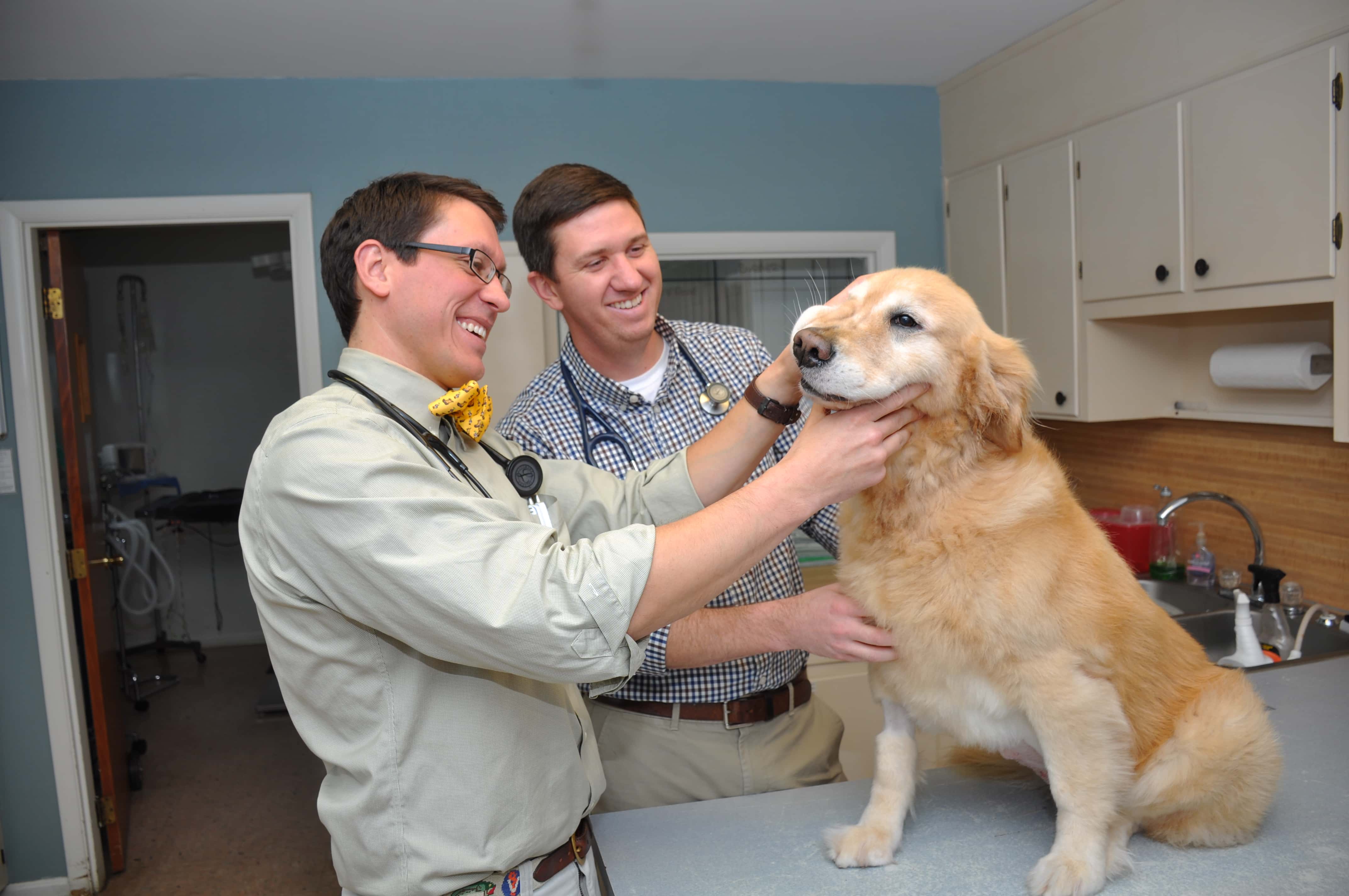 Southern Veterinary Partners - Birmingham, AL, US, veterinary clinic