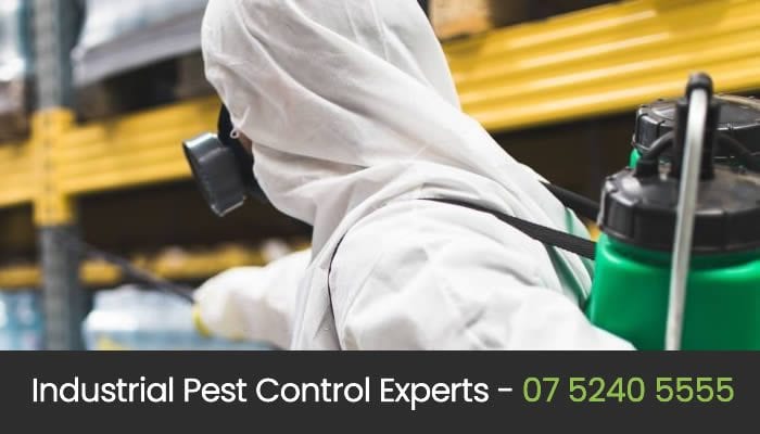 Eco Pest Control Gold Coast - Arundel, AU, pest control