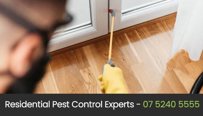 Eco Pest Control Gold Coast - Arundel, AU, wasp nest removal