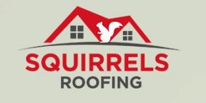 squirrels roofing
