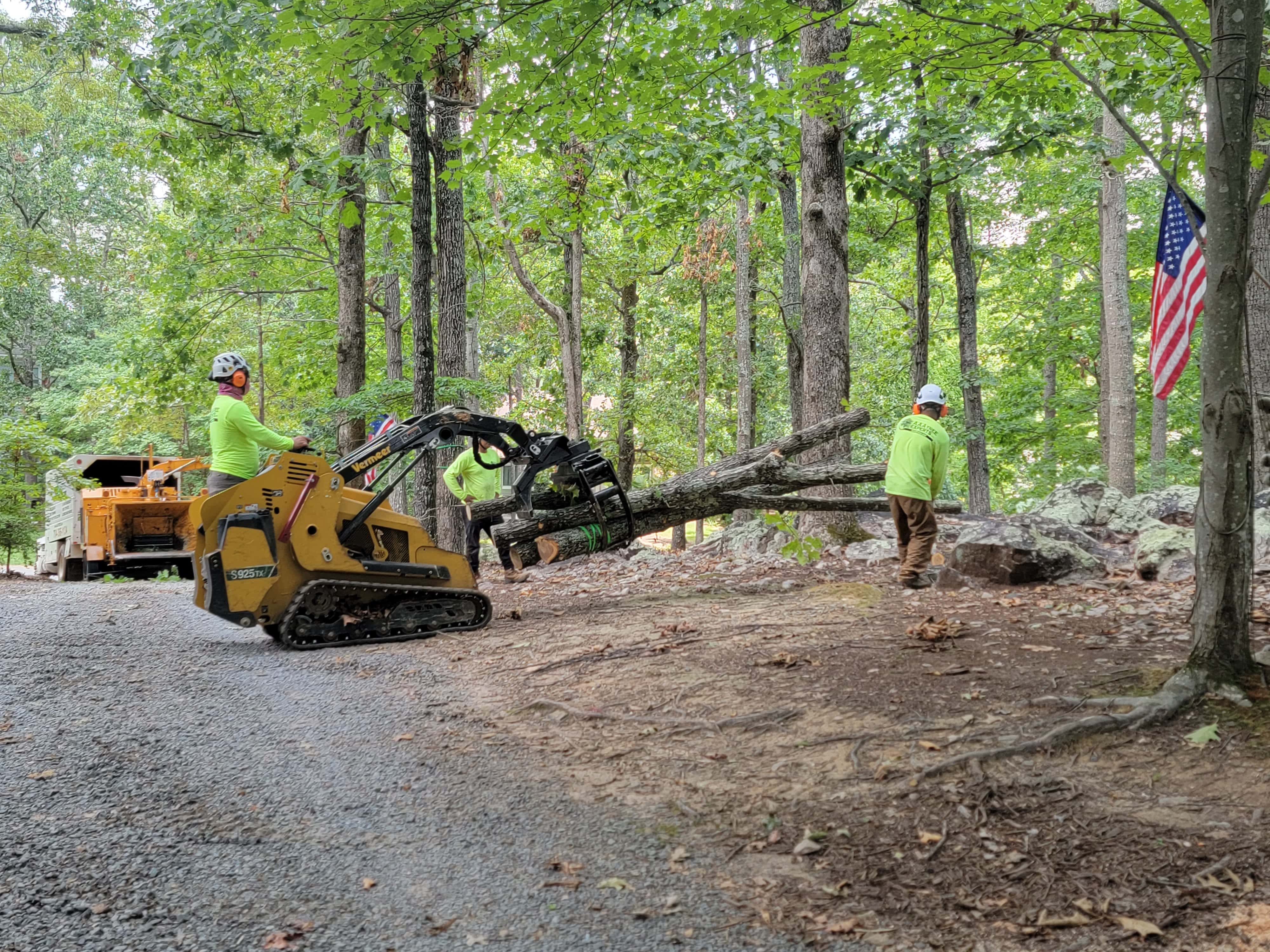 AAA Tree Experts Inc - Charlotte, NC, US, tree service