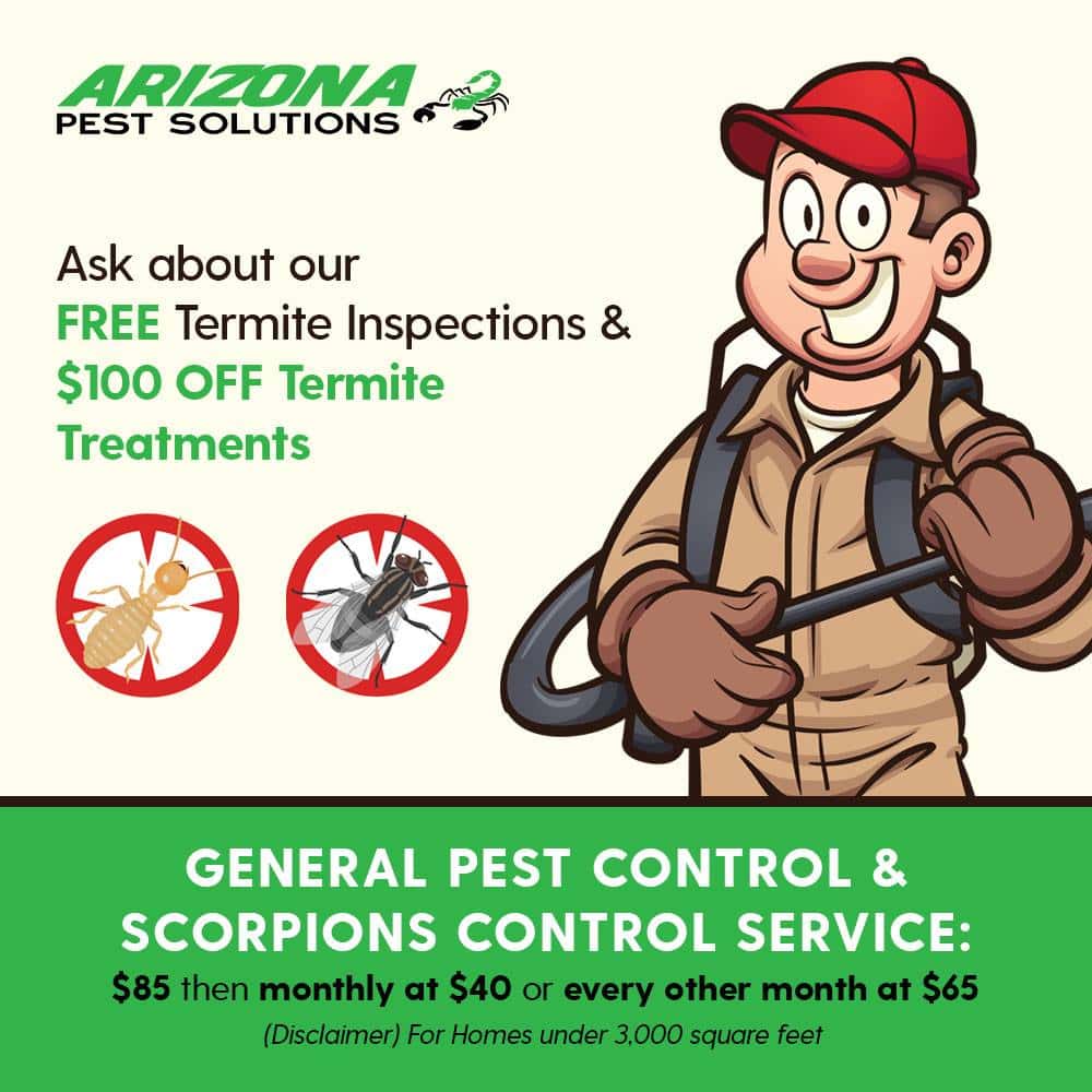 Arizona Termite & Pest Solutions - Gilbert, AZ, US, rodent control