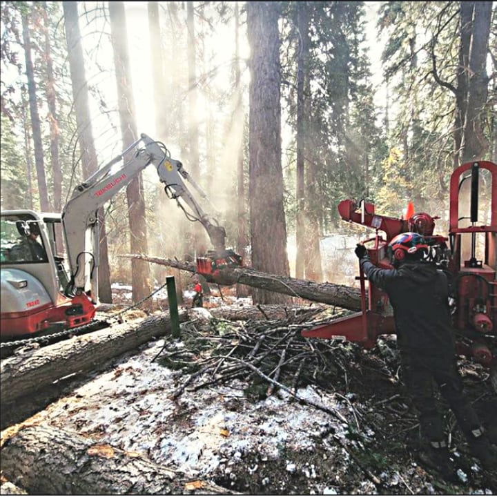 Jeremiah's Tree Service - Reno, NV, US, removal of tree