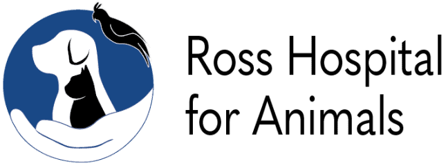 ross hospital for animals