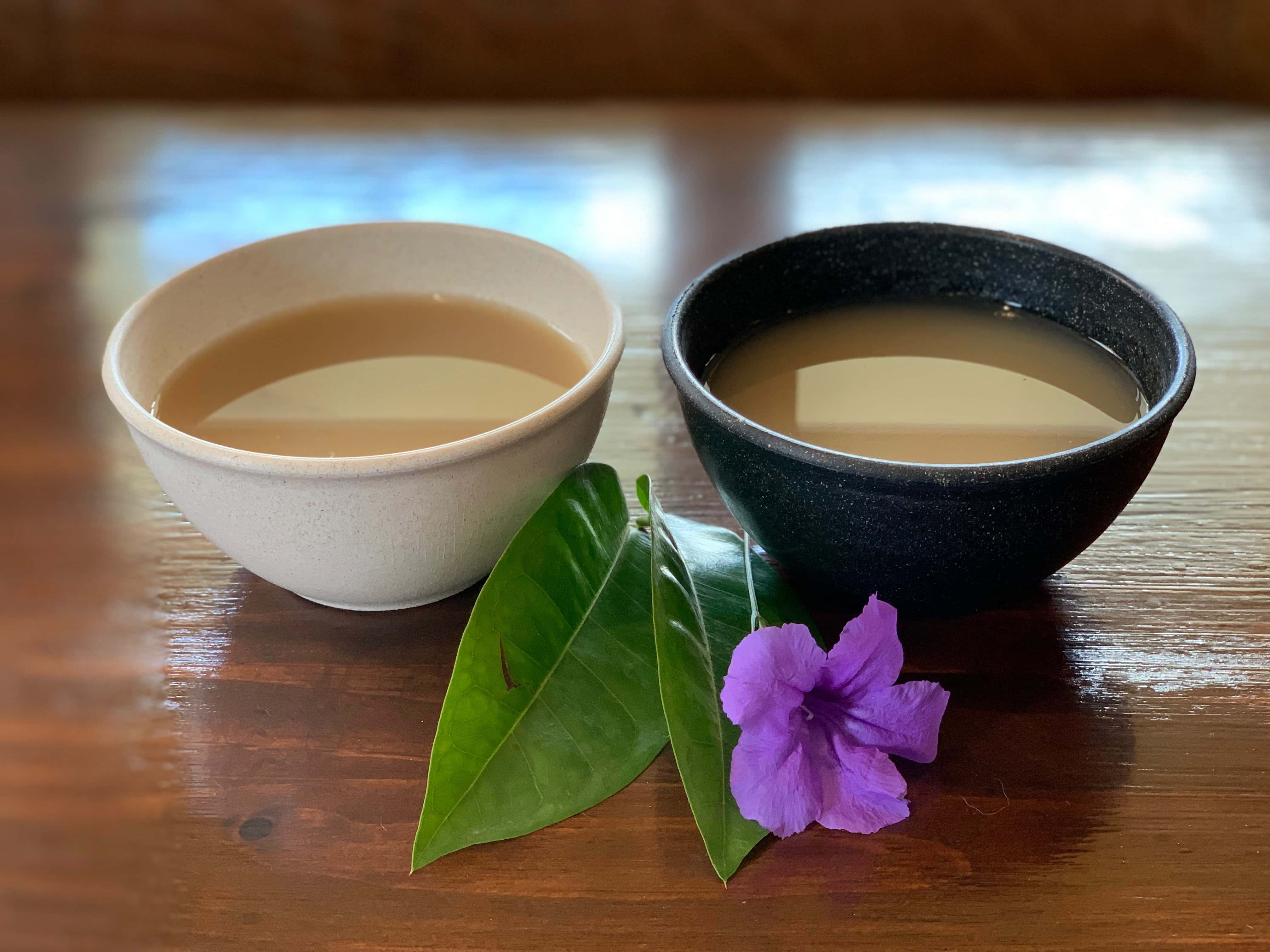 Bula Kavananda Kava Bar & Coffee House - Tampa, FL, US, little coffee