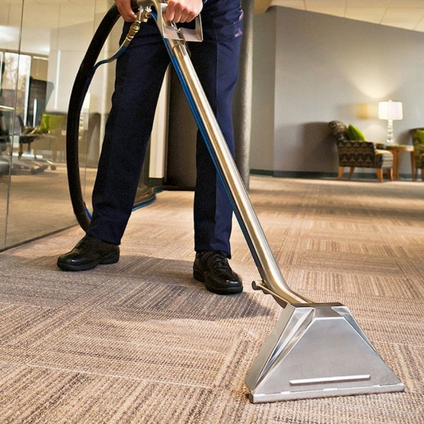 Ecosteam Cleaning Services - Mentone, AU, carpet clean
