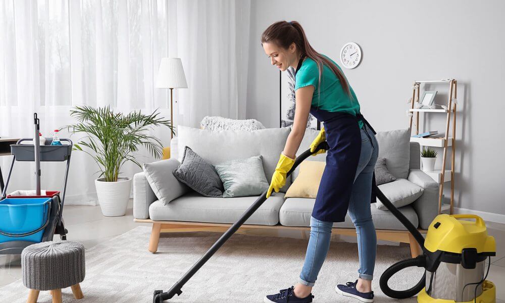 Pro Housekeepers - San Francisco (CA 94108), US, house cleaning
